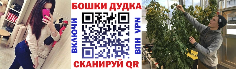 Бошки Шишки AK-47  OMG ссылки  Инсар  где купить наркотик 